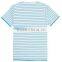 2017 Summer the Best Hot Sale Stripe o Neckline Stripe Fancy Short Sleeve t Shirt for Men
