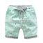 Wholesale New Design Baby Boy Shorts Kids Summer Shorts