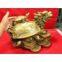 dragon head turtle tortoise