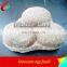 Simulation Dinosaur Egg Fossil Hatching Dinosaur Eggs