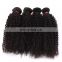 Factory Wholesale Virgin kinky Curly Hair Brazilian Human Hair bundles curly hair bundles