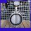 DIN standard all stainless steel wafer butterfly valve DN100