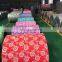 China sell PPGI iron roll DX51D Z40 cold rolled steel coil painted steel coil