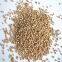 Factory Supply High Quality Abrasive Walnut Shell Sand 18-40# 36-60# for Pet litter