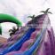 Commercial Long Inflatable Water Slide Purple Jungle Slip and Slides Kids Adult For Sale