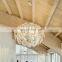 Nordic style living room acrylic chandelier bedroom simple apple shape pendant light