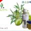 olive oil price in india brand