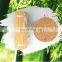 Vietnam Incense Bamboo Stick Raw Material/ High Quality Natural Bamboo Stick Incense Agarbatti Raw Material