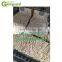 new style instant noodle production line