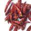 Wholesale Bulk Items Dry Red Chilli Sichuan Pepper whole or cut offr or chili powder