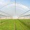 6 Mil Transparent UV Protection Greenhouse Film Vegetable Flower Protection Rain Proof Cover Poly Sheeting