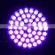 51 UV Flashlight for Scorpion and pets Ultra Violet detector 51 UV Flashlight
