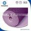 TPE yoga mat,camping mat,double yoga mat china supplier