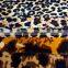 2015 new zebra printed roma knitting fabric