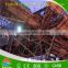 Shandong ty008 OSHA scaffolding planks