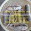 Dried Sea Cucumber ( black teat fish )