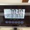 Digital Adult Weighing Scale with BMI