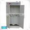 Made In China CE Aproved Laboratory Furniture Laboratory Gas Cylinder Cabinet/Laboratory Safety Cabinet