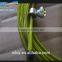 2015 Hot Sale new Wholesale Crosfit Speed Jumping Rope With Bearings