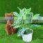 New designed indoor decoration artificial bonsai plant plastic potted plant with competitive price