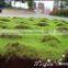 Fire proof selling artificial moss turf / simulation moss carpet in factory price