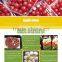 Supermarket Display Food Packaging Plastic Meat Container