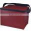 XZH Insulated Lunch Box Cooler Bag,Pink