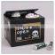 The Skull Stealing Coin box Money Piggy Bank Plastic Coin Box