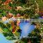 Sea Island rendering model of 3d architectural model