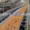 Cotton Conveyor Belt