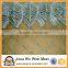 chain link fence / vinyl coated chain link fence