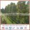Dirickk axis 3d fold cheap welded wire mesh fence
