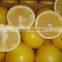 FRESH GRAPEFRUIT