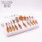New Arrival Cosmetics 10Pcs Newest Fish Shape Makeup Brush Set