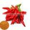 Natural Plant Extract Food and Beverage Additive Chillies Extract Powder