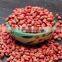 high demand exprt product Factory directly sales peanuts kernel/roasted red skin/blanched/fried/roasted
