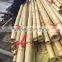 cheap raw Bamboo poles
