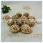 Market prices for Shiitake mushroom from mushroom farm