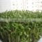 Hydroponic seeds germinate machine/green fodder making barley breeding room/hydroponic bud seedling machine