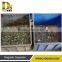 High Effective Aluminum Separator for Medical Glass Scraps