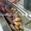 TW-1500A potato cleaning peeling machine