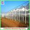 Durable Aluminium Profiles Venlo Polycarbonate Green House With High Quality and Best Service
