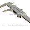 Berrylion 300mm stainless steel venier caliper with accurately Scale