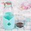 L00056 2017 High Quality Stylish Design Custom Handmade Pyrex Heat-Resistant Clear Glasses Bottles