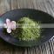 Manufacturer Supply Best Matcha Extract Powder