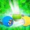 mini 5led egg shape torch flashlight