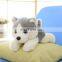 Custom stuffed plush dog toy for baby