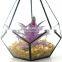 geometric glass terrarium wholesale terrarium glass