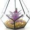 geometric terrarium geometric glass terrarium wholesale plant holder