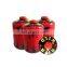 450ml gas cartridge for camping